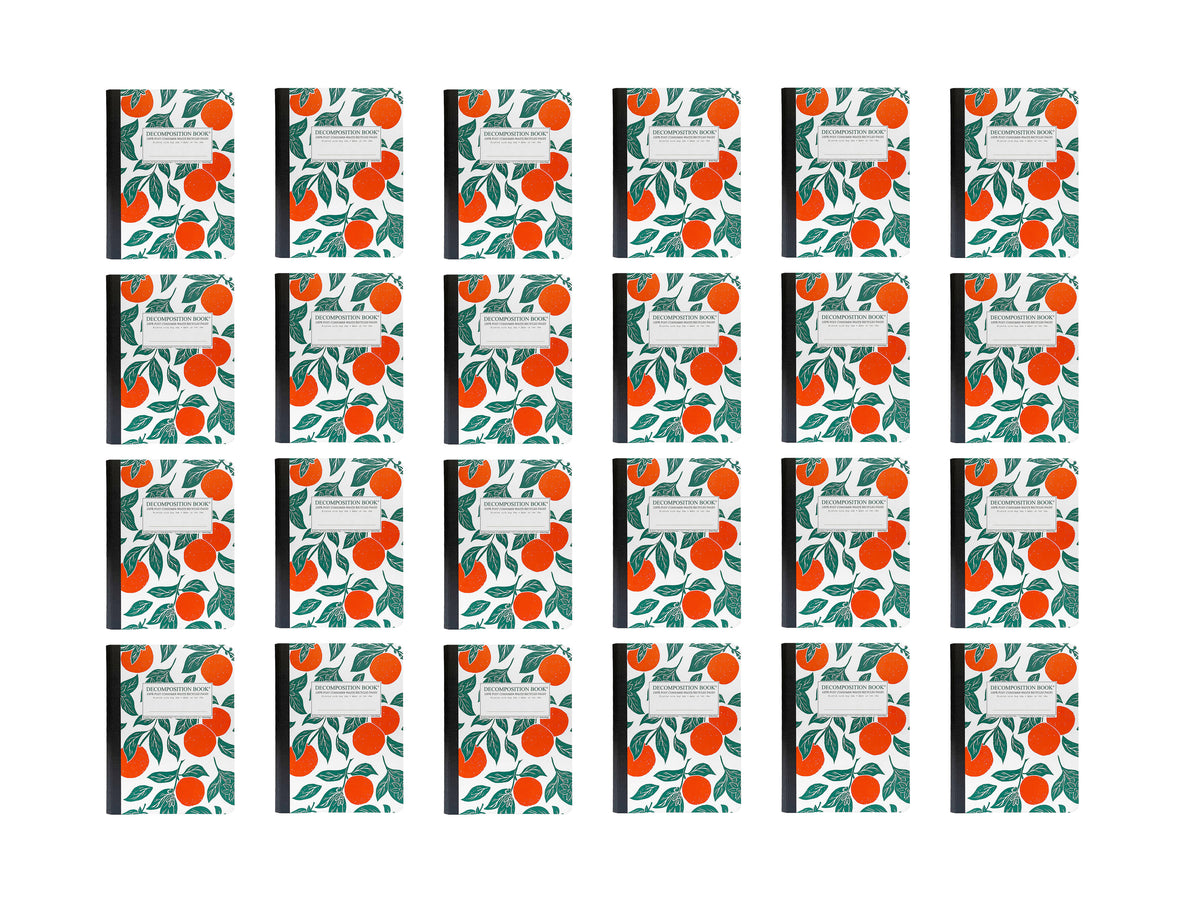 24 Large Sewn Oranges Decomposition Books