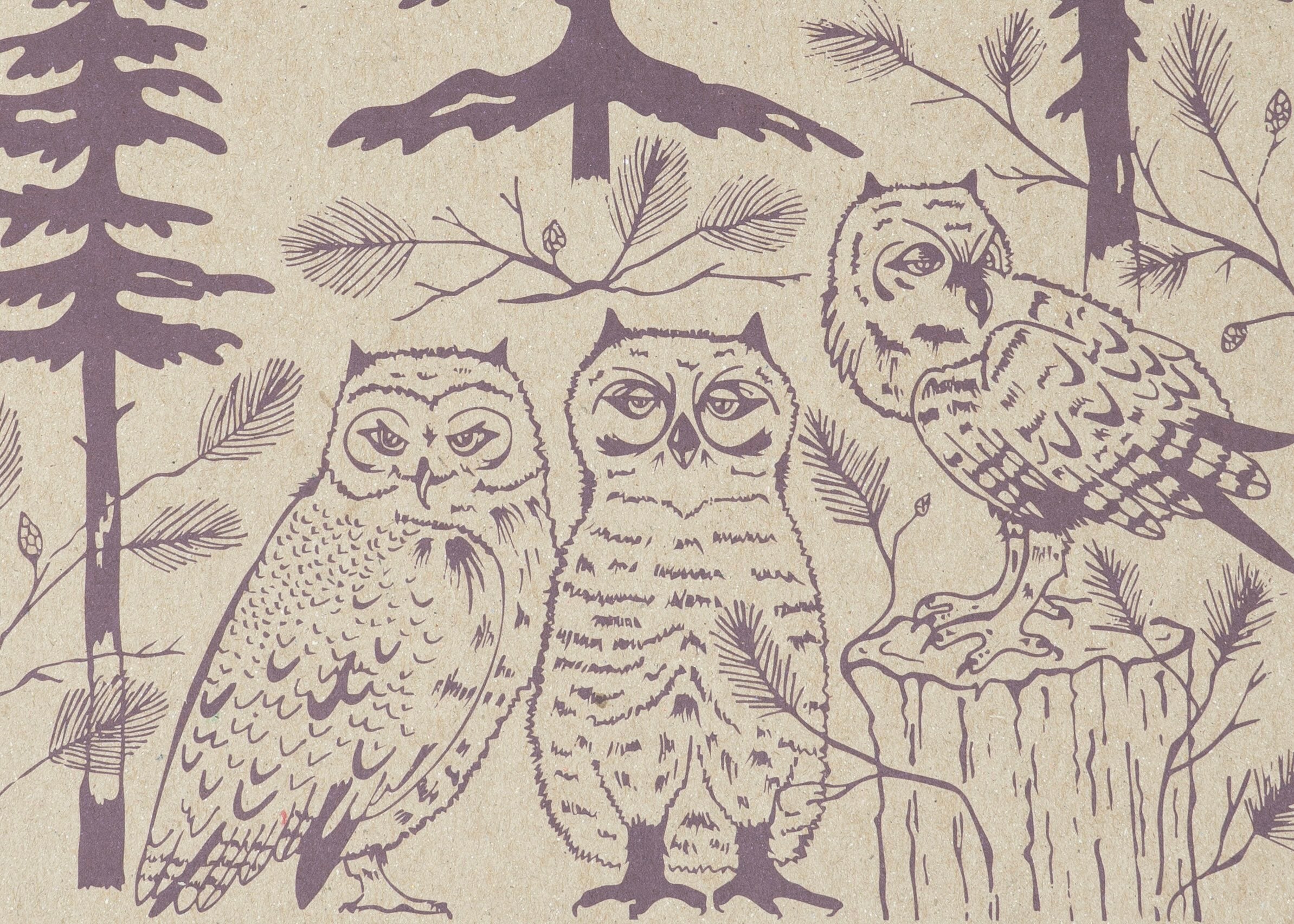 Baby Great Horned Owls Decomposition Book