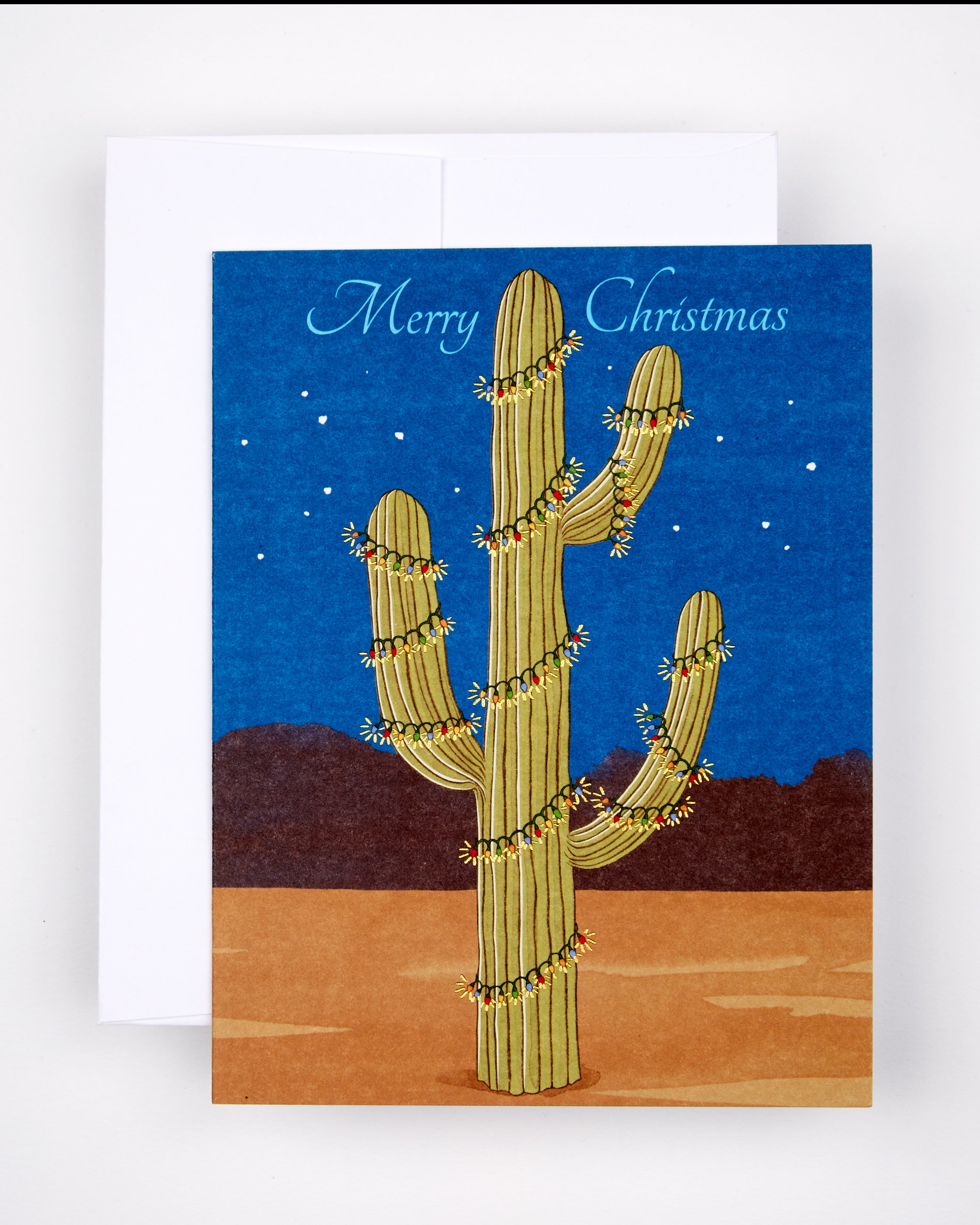 Holiday | Christmas Cactus notebook cover