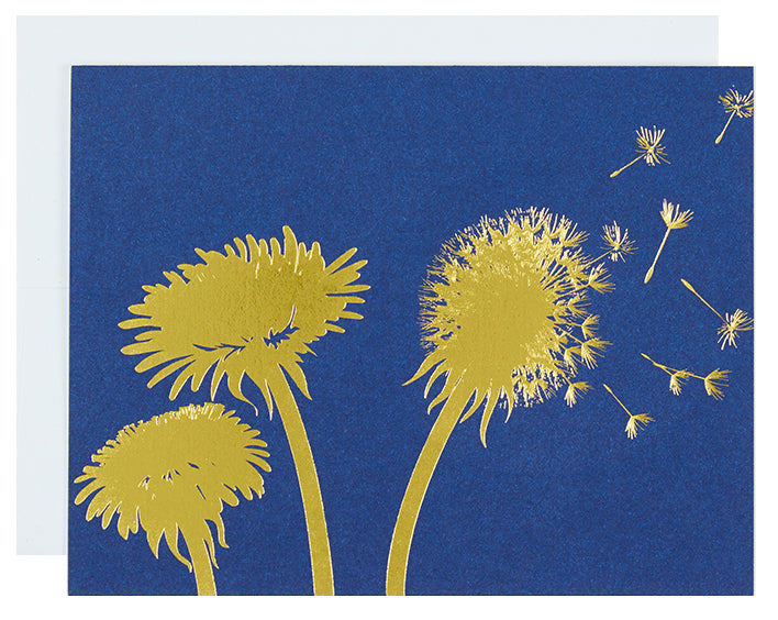 No Text | Dandelions notebook cover