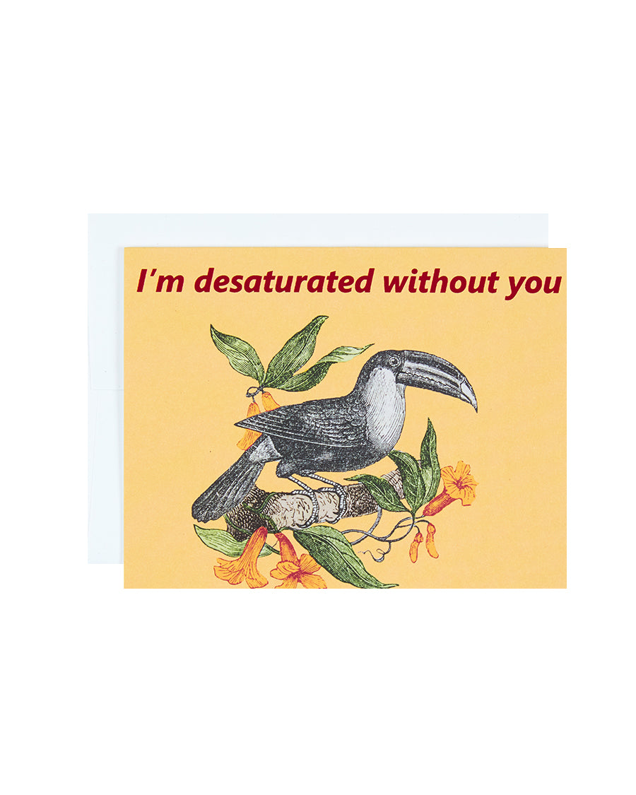 Everyday| Desaturated Toucan notebook cover