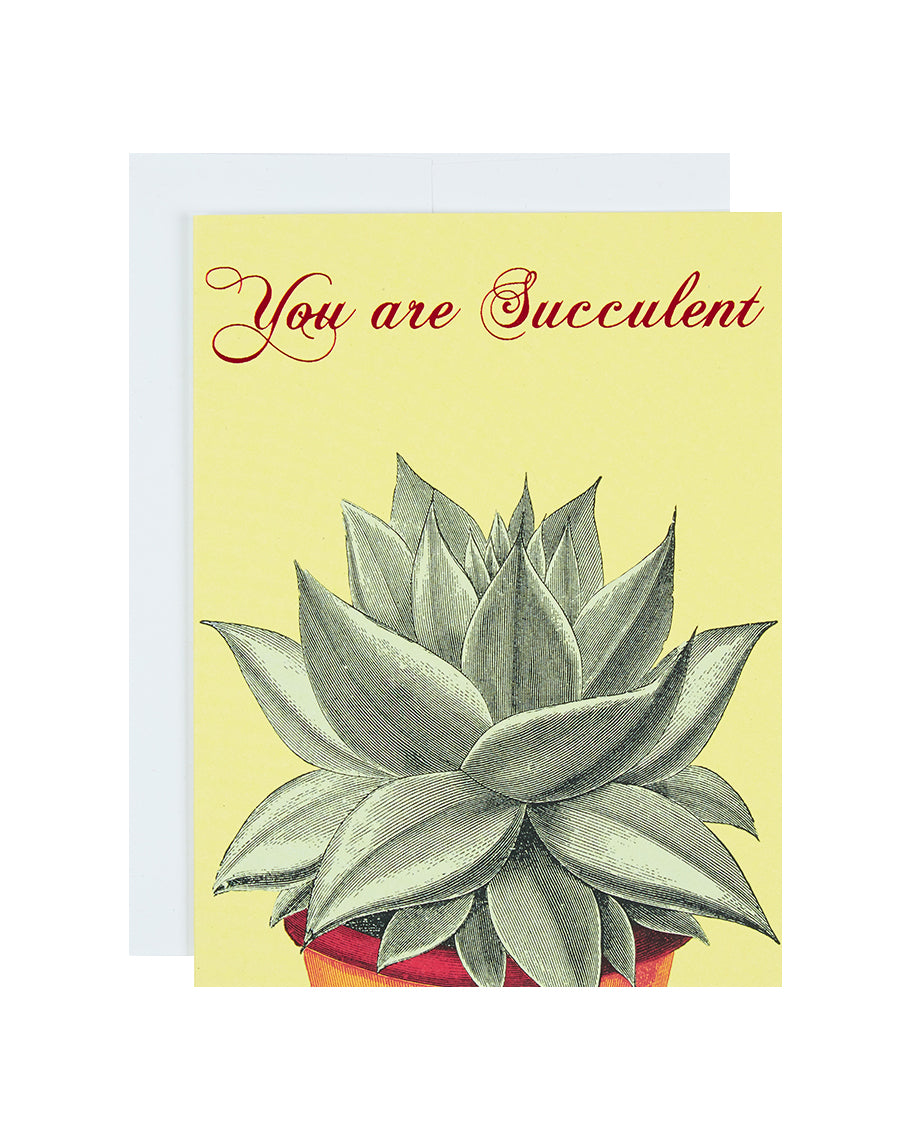 Greeting card: Love | You Are Succulent